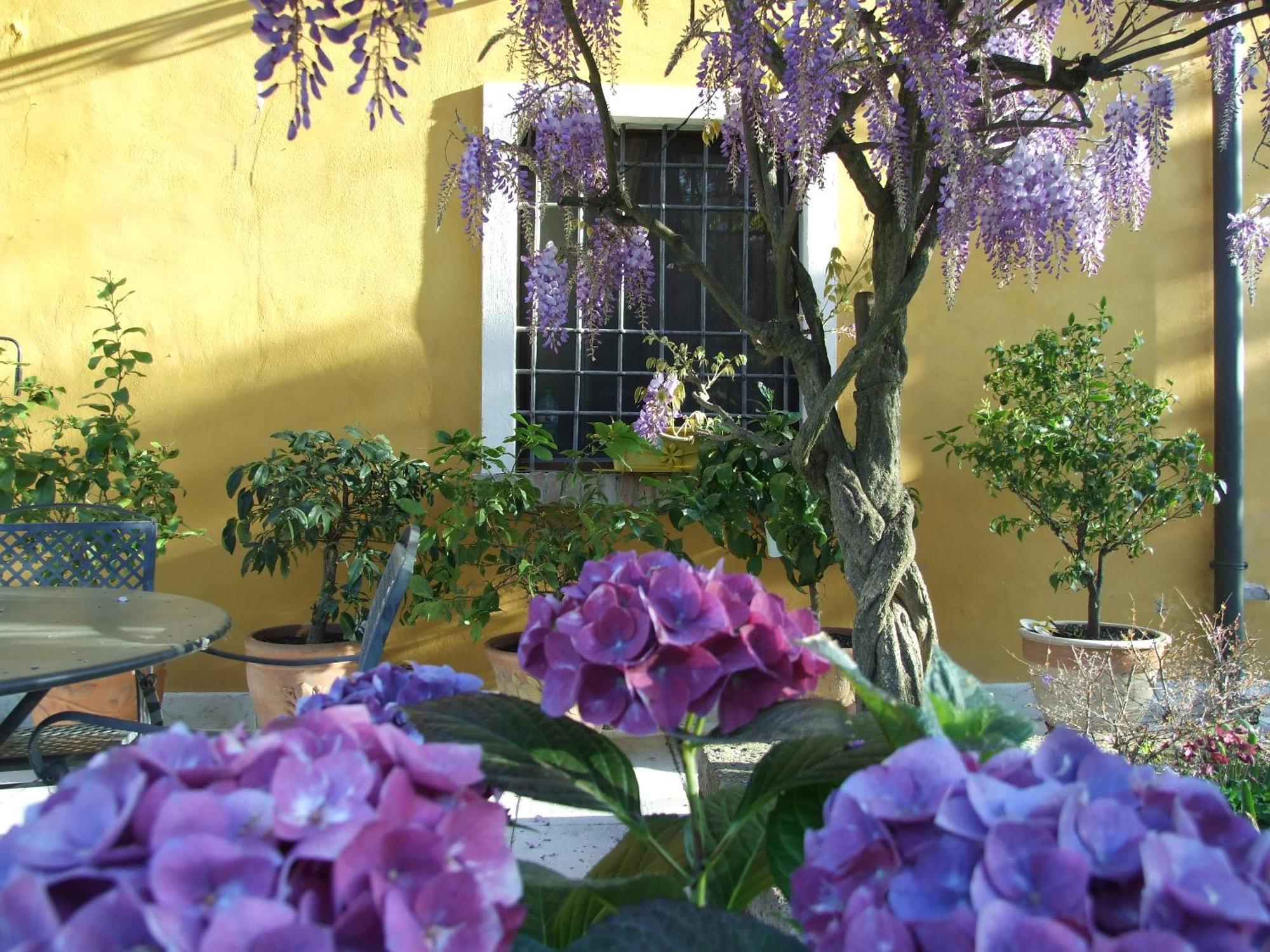 B&B Casacasina Monzambano Eksteriør billede