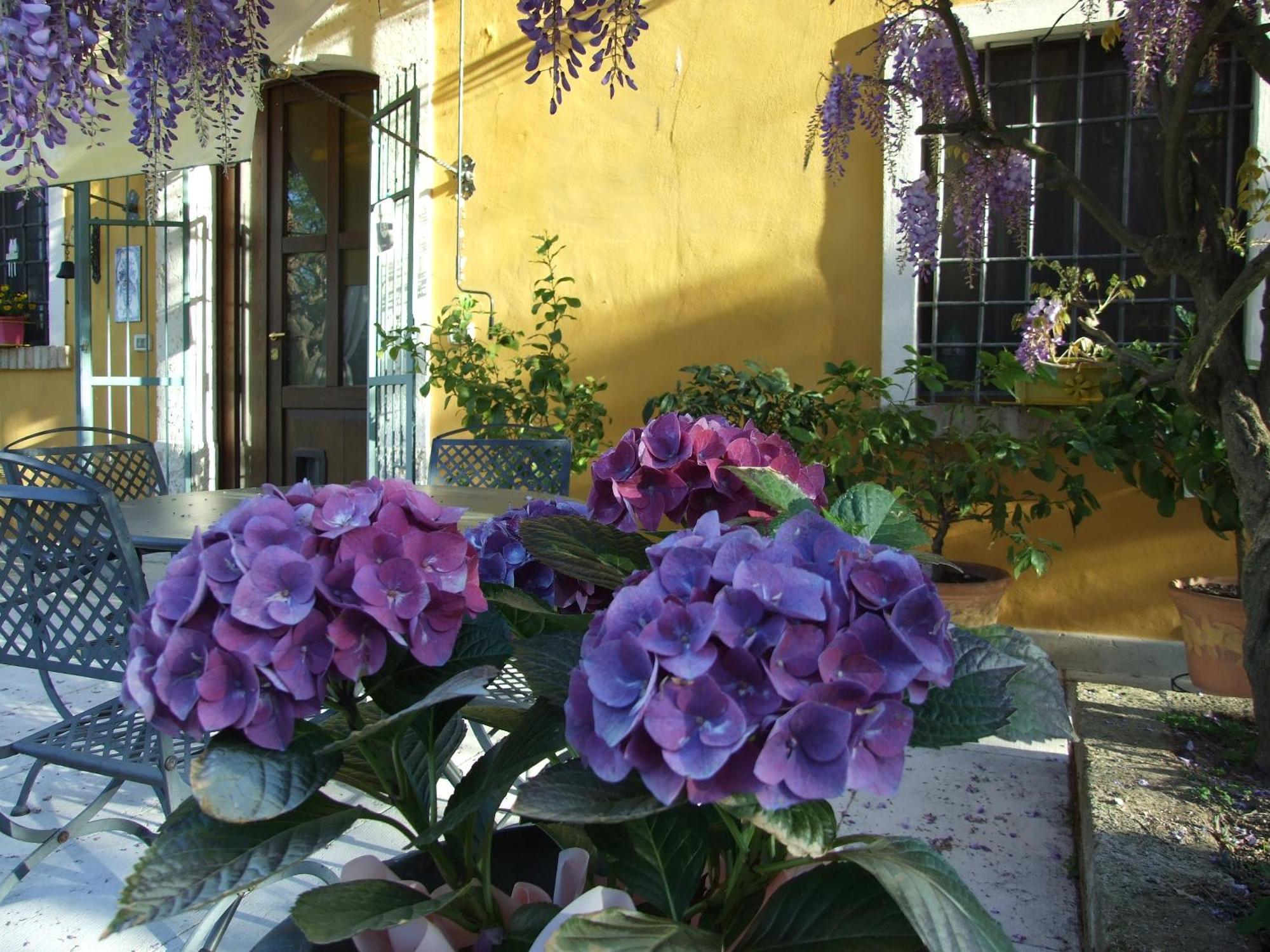 B&B Casacasina Monzambano Eksteriør billede