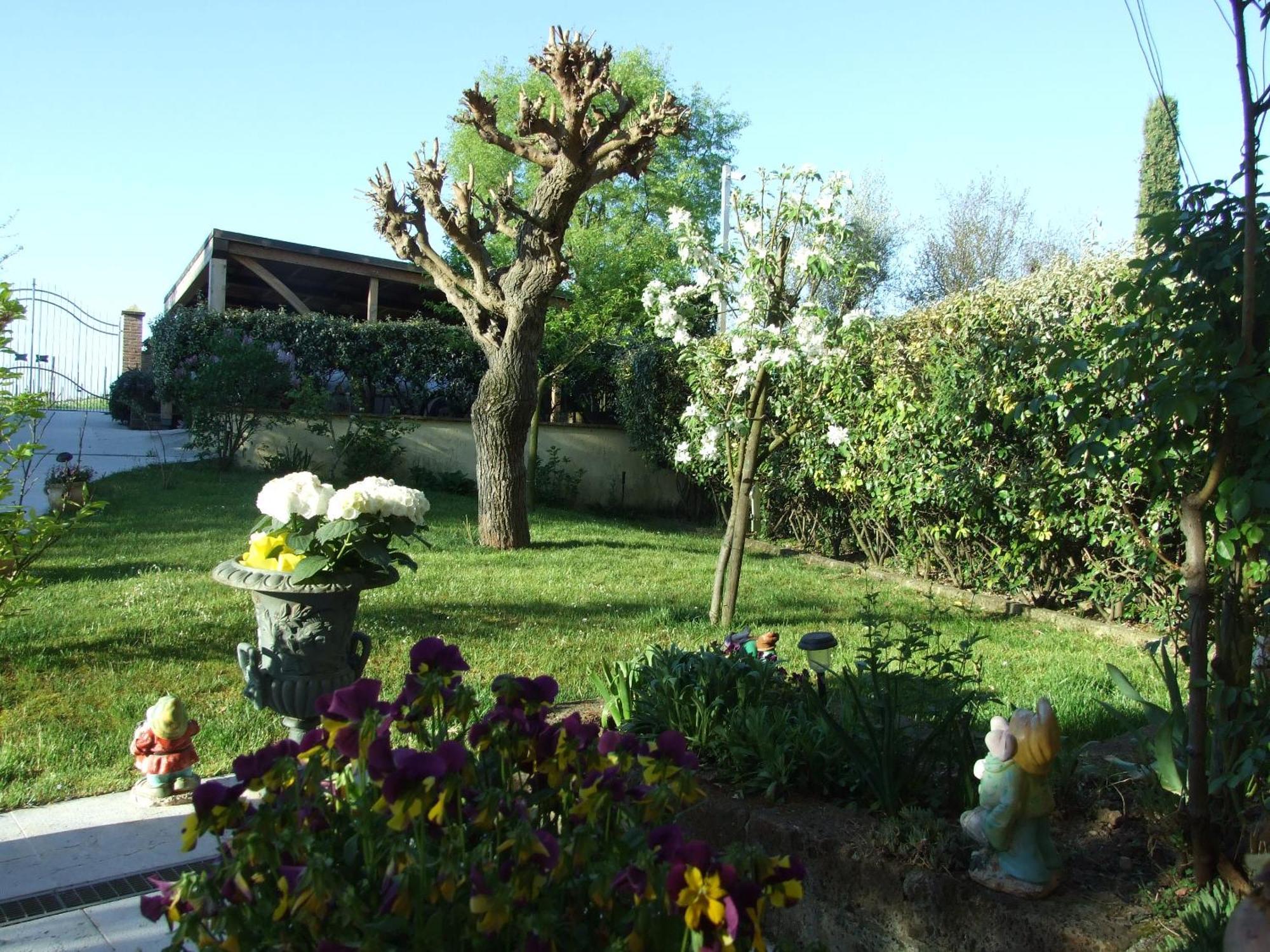 B&B Casacasina Monzambano Eksteriør billede