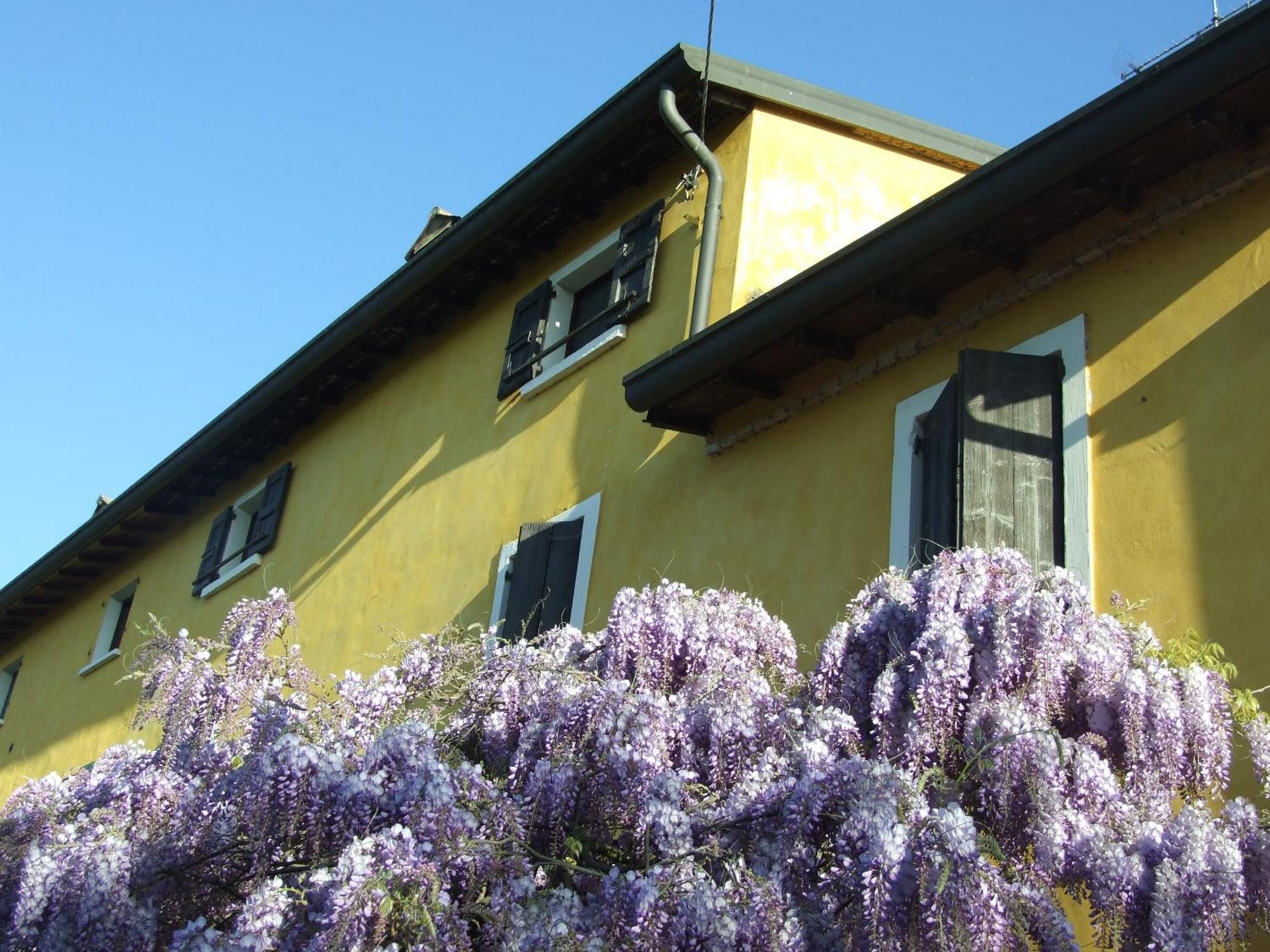 B&B Casacasina Monzambano Eksteriør billede