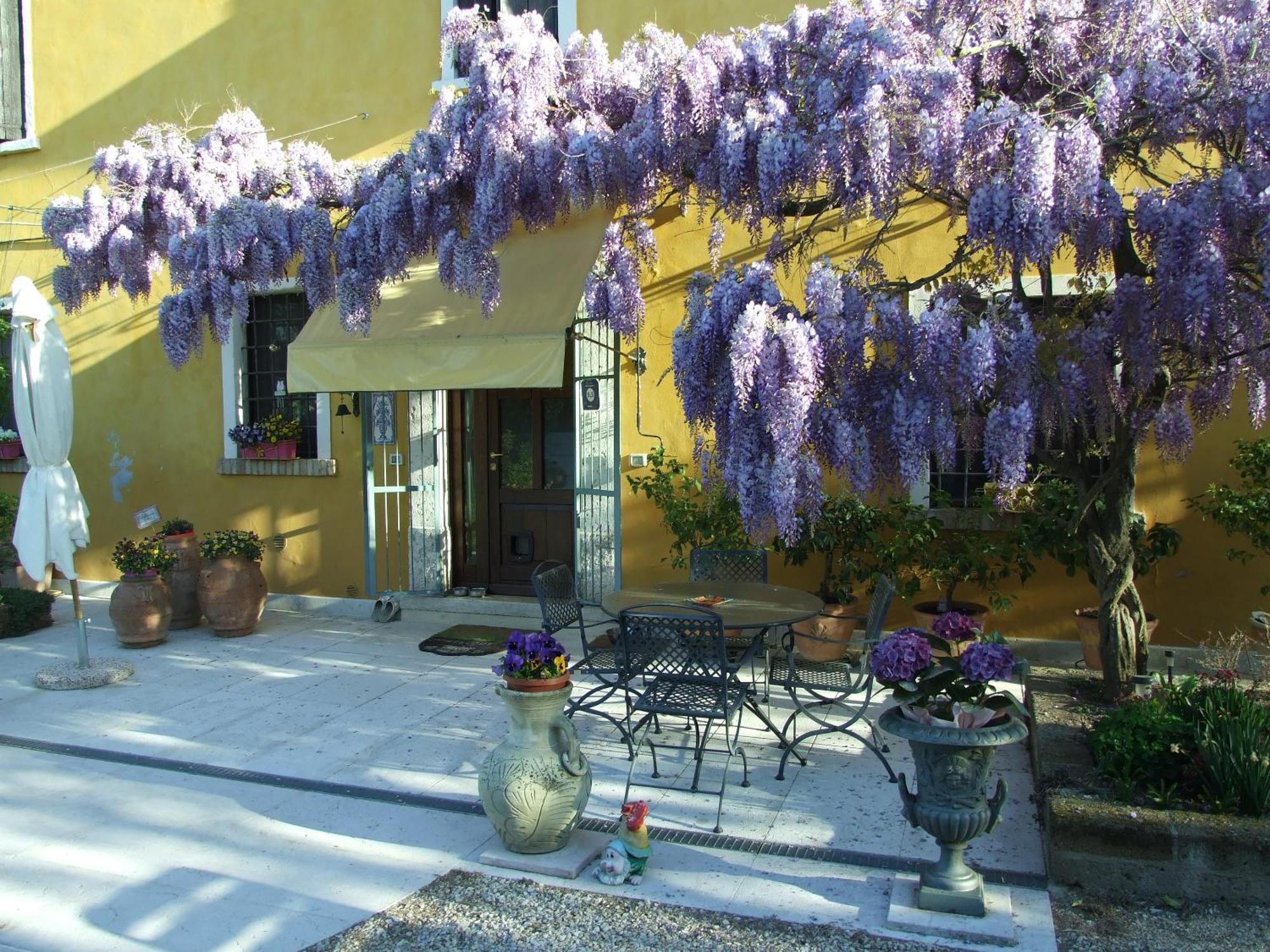 B&B Casacasina Monzambano Eksteriør billede