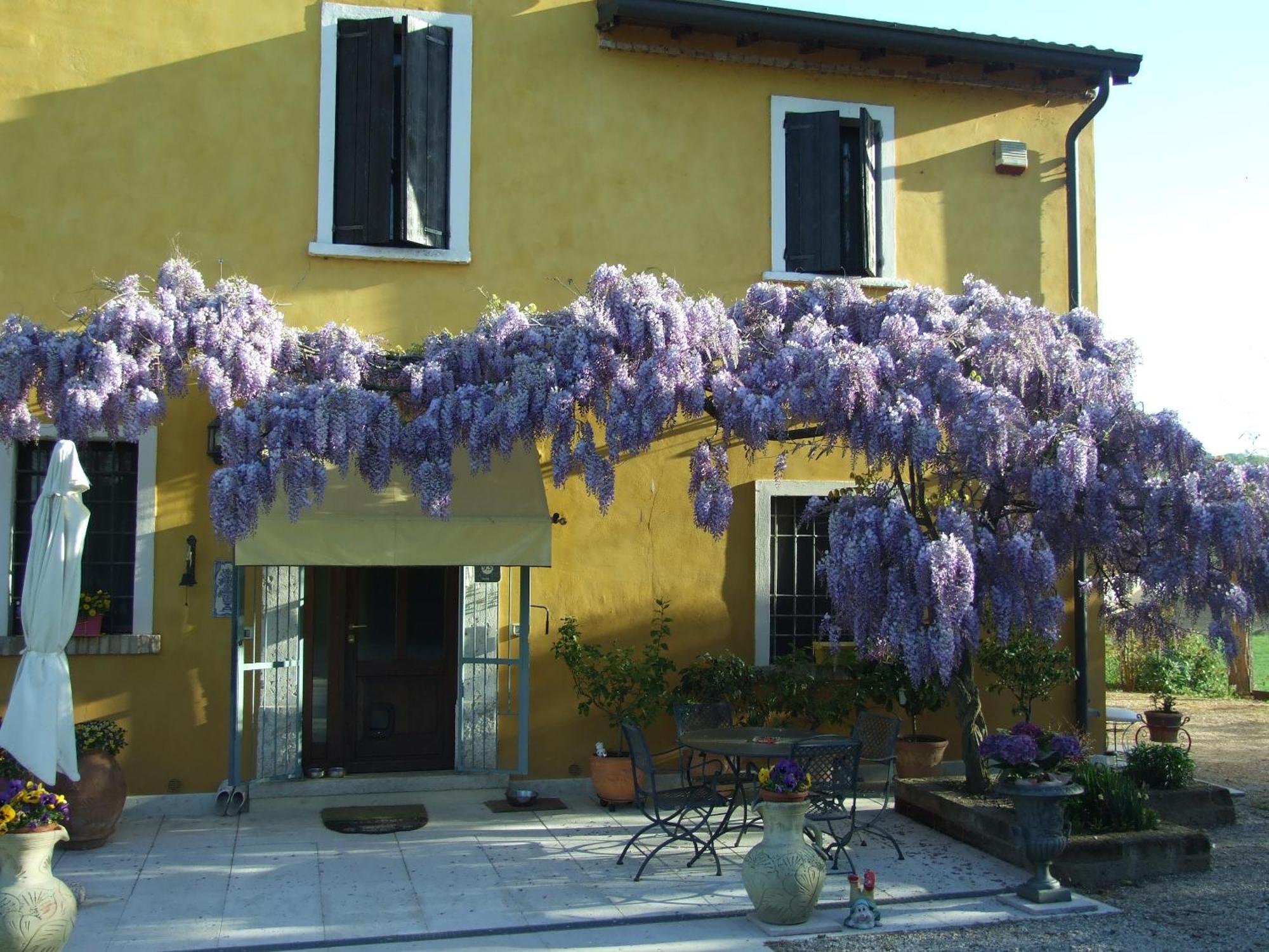 B&B Casacasina Monzambano Eksteriør billede