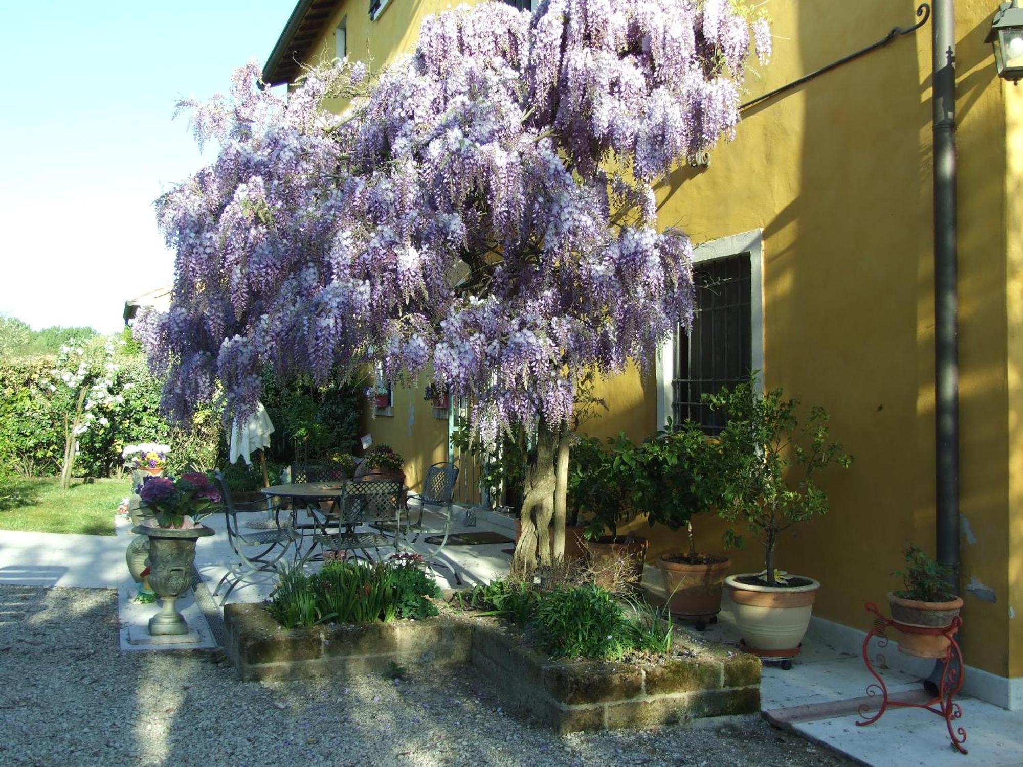 B&B Casacasina Monzambano Eksteriør billede
