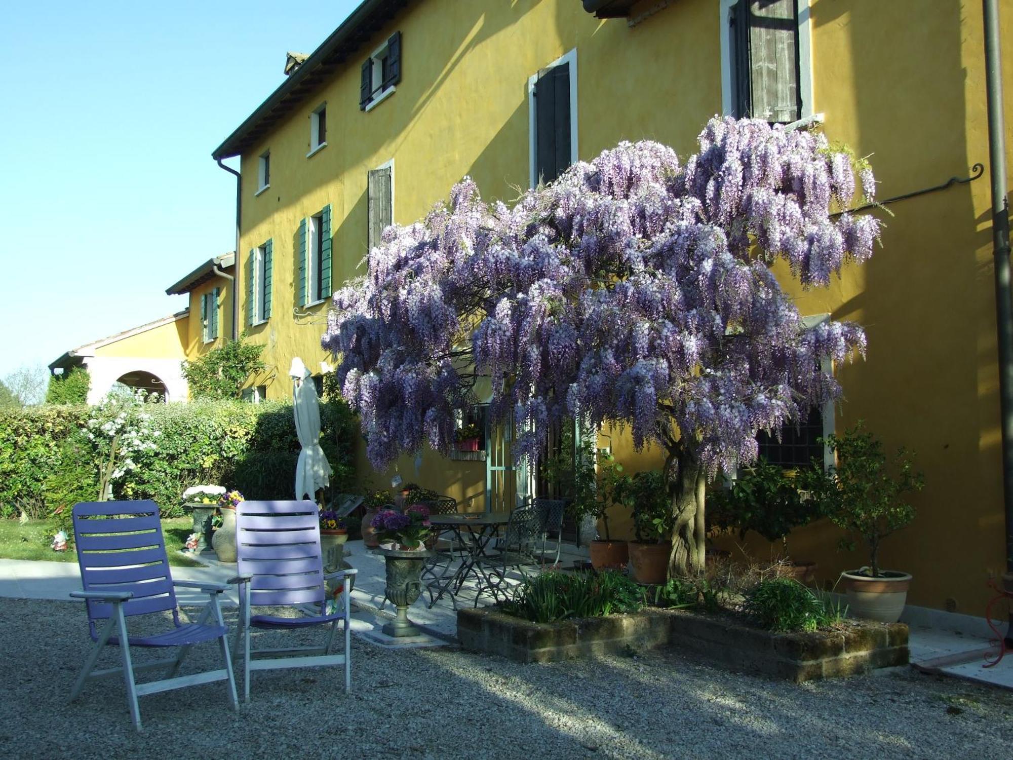 B&B Casacasina Monzambano Eksteriør billede