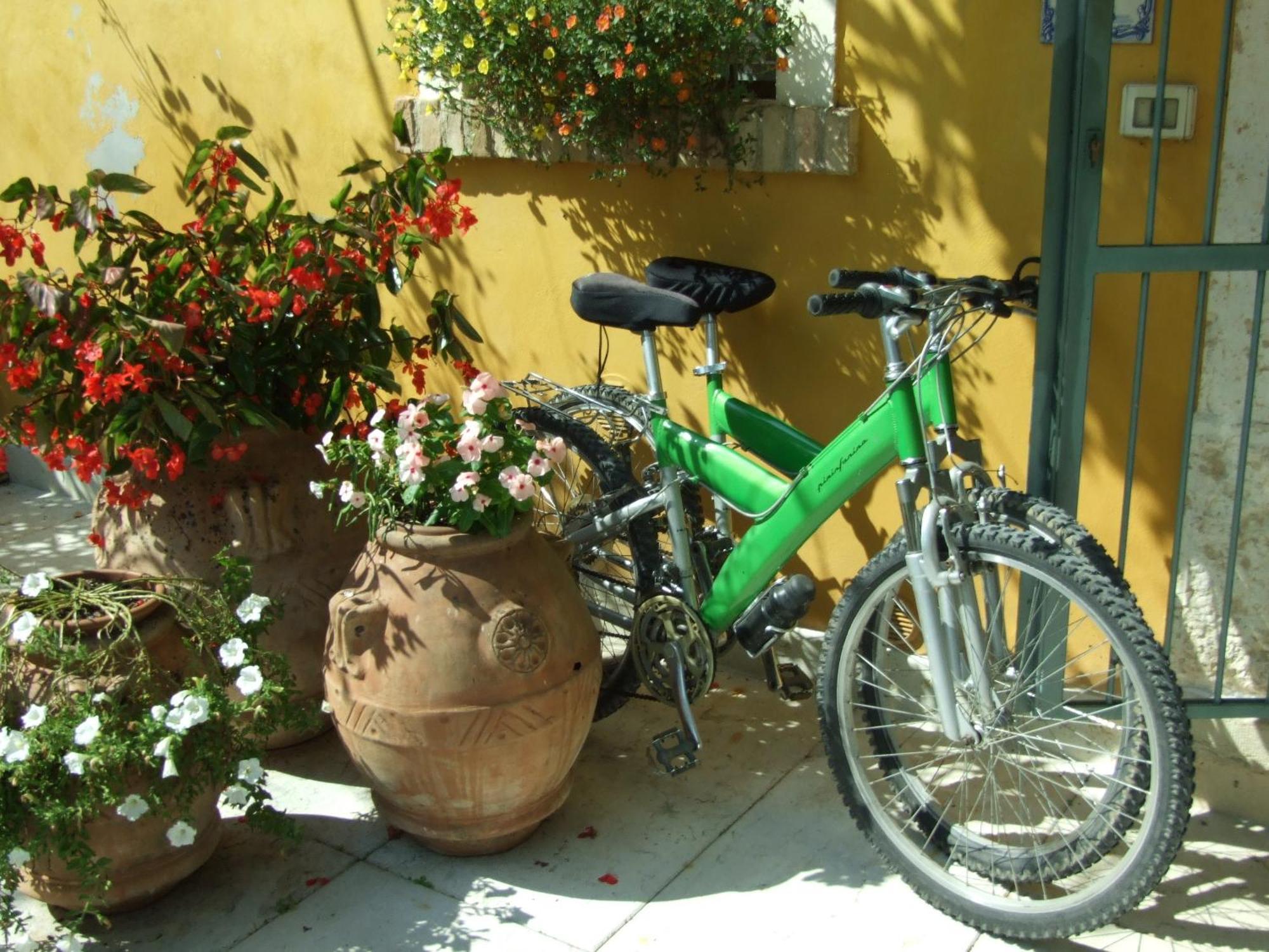 B&B Casacasina Monzambano Eksteriør billede